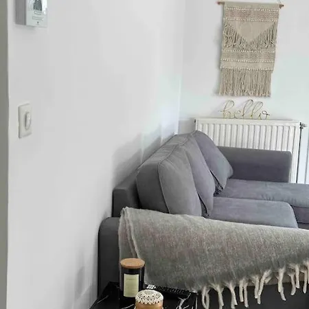 T3 Moderne Avec Garage Daire